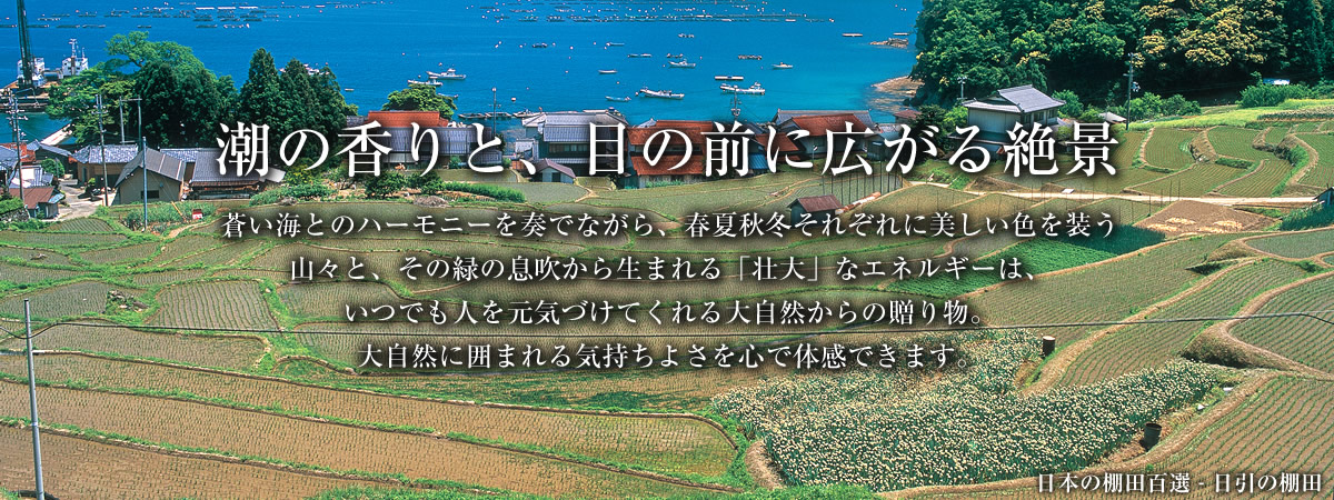 潮の香りと、目の前に広がる絶景 蒼い海とのハーモニーを奏でながら、春夏秋冬それぞれに美しい色を装う山々と、その緑の息吹から生まれる「壮大」なエネルギーは、いつでも人を元気づけてくれる大自然からの贈り物。大自然に囲まれる気持ちよさを心で体感できます。 日本の棚田百選 - 日引の棚田